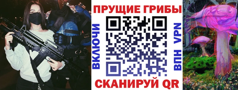 блэк спрут как зайти  Бакал  Псилоцибиновые грибы ЛСД  как найти  