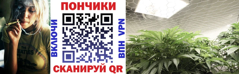 закладка  Бакал  это официальный сайт  Бошки марихуана Bruce Banner 